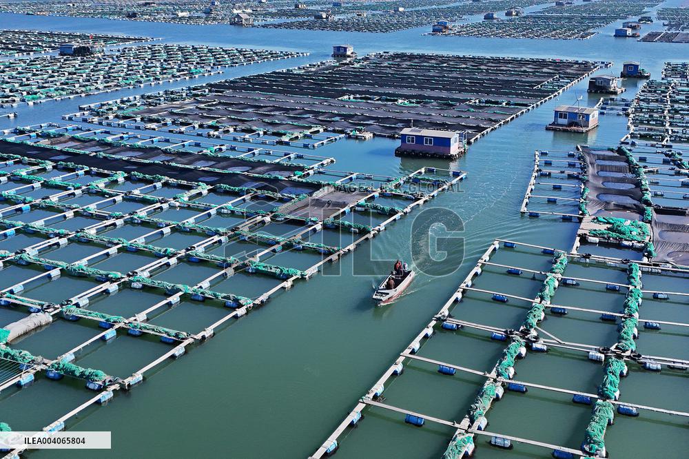 Mariculture