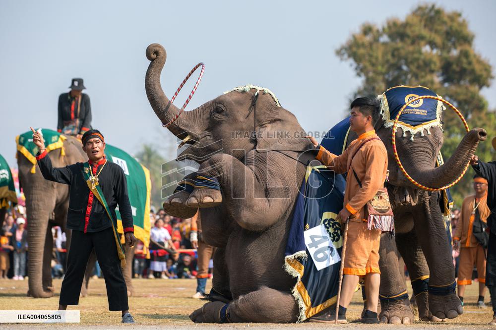 Elephant Festival - Laos