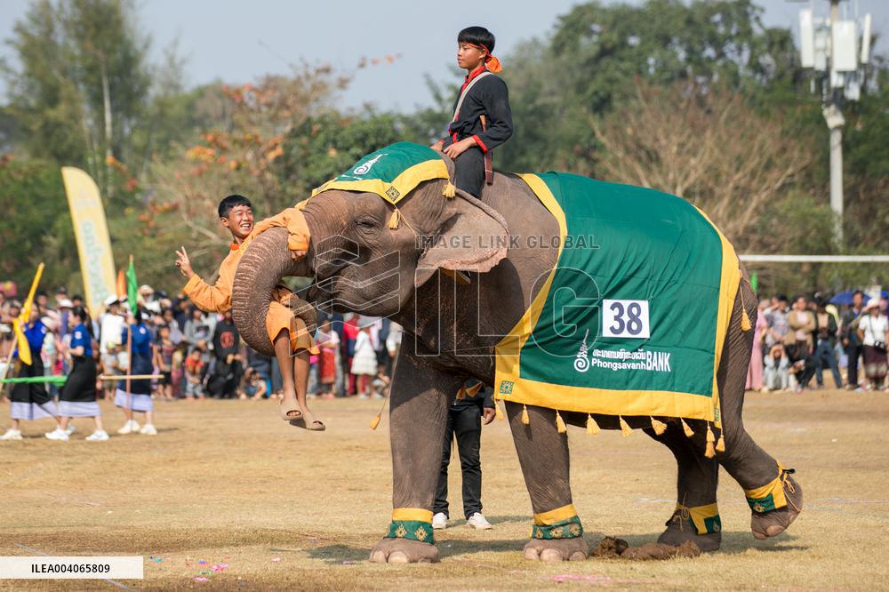 Elephant Festival - Laos
