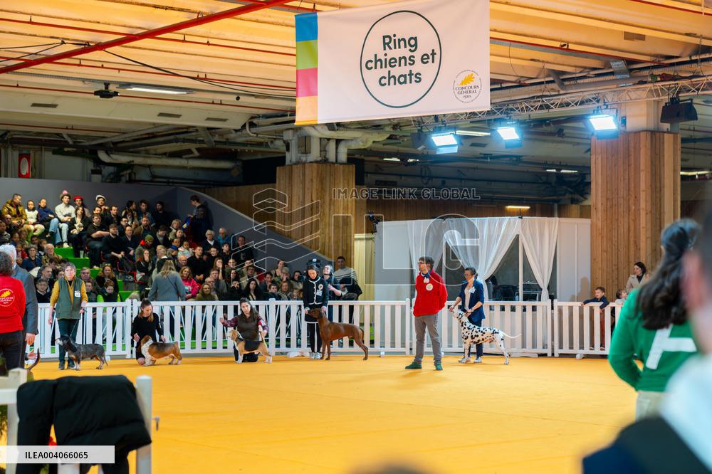 61st Agricultural Fair - Paris