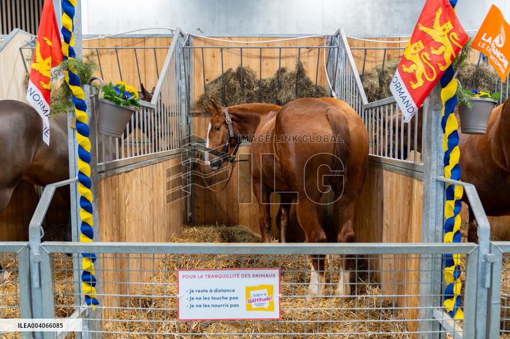 61st Agricultural Fair - Paris