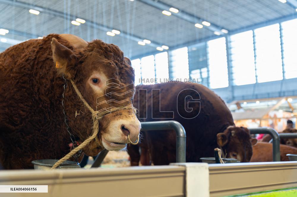 61st Agricultural Fair - Paris