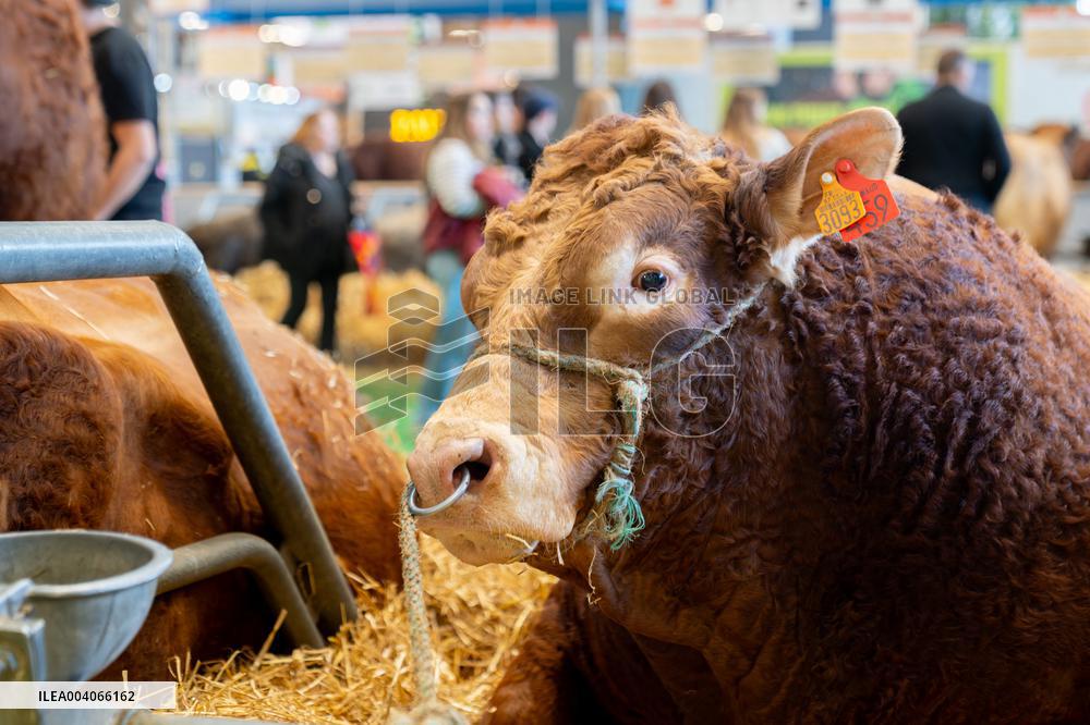 61st Agricultural Fair - Paris