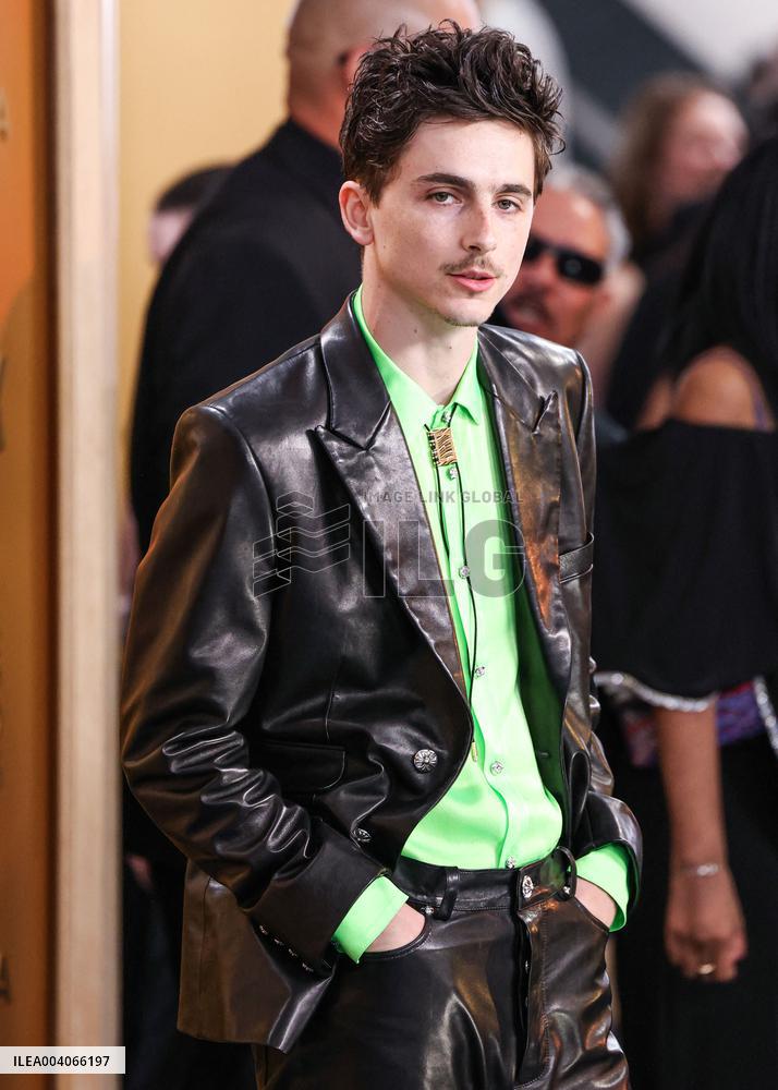 31st SAG Awards - Arrivals - LA