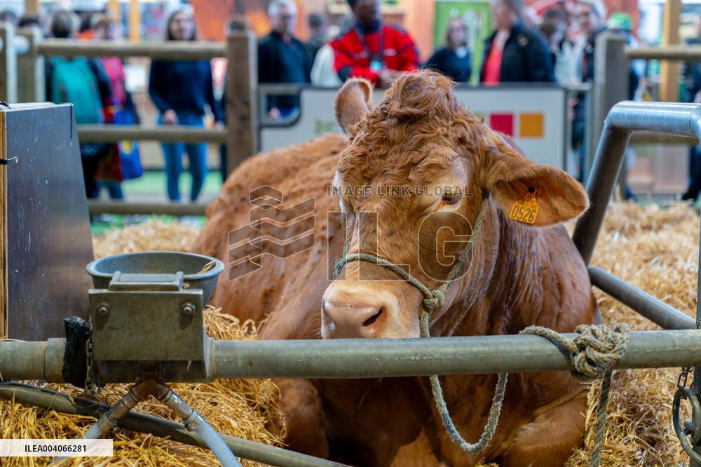 61st Agricultural Fair - Paris