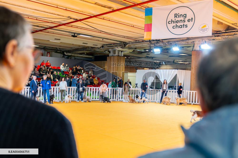 61st Agricultural Fair - Paris