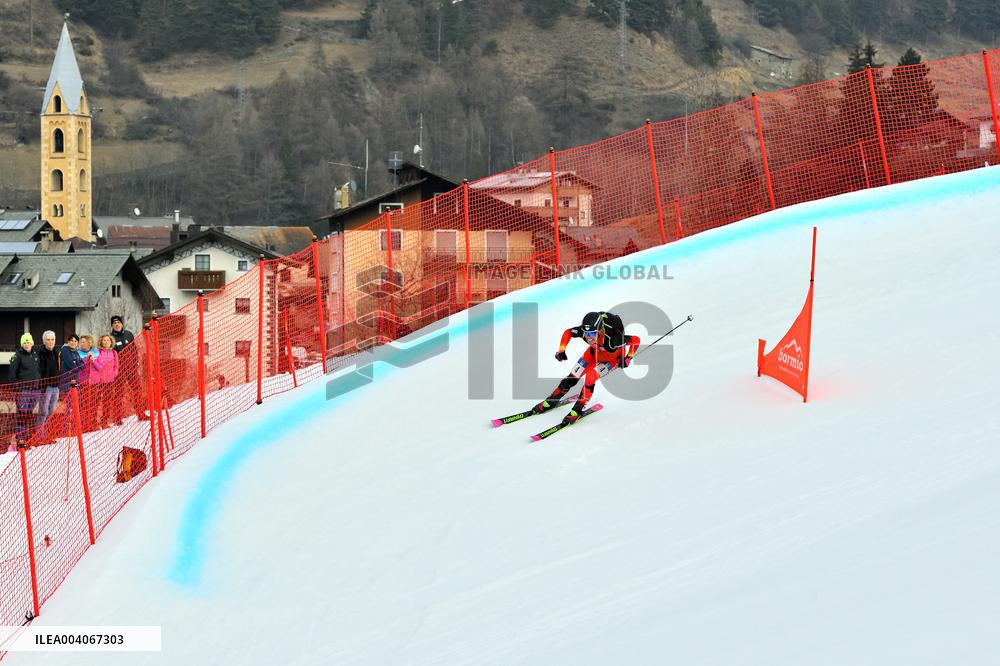 SPORT INVERNALI - Sci Alpino - ISMF World Cup - Ski Mountaineering