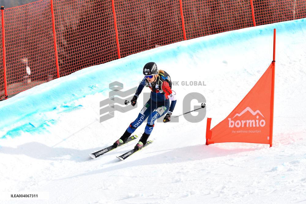 SPORT INVERNALI - Sci Alpino - ISMF World Cup - Ski Mountaineering