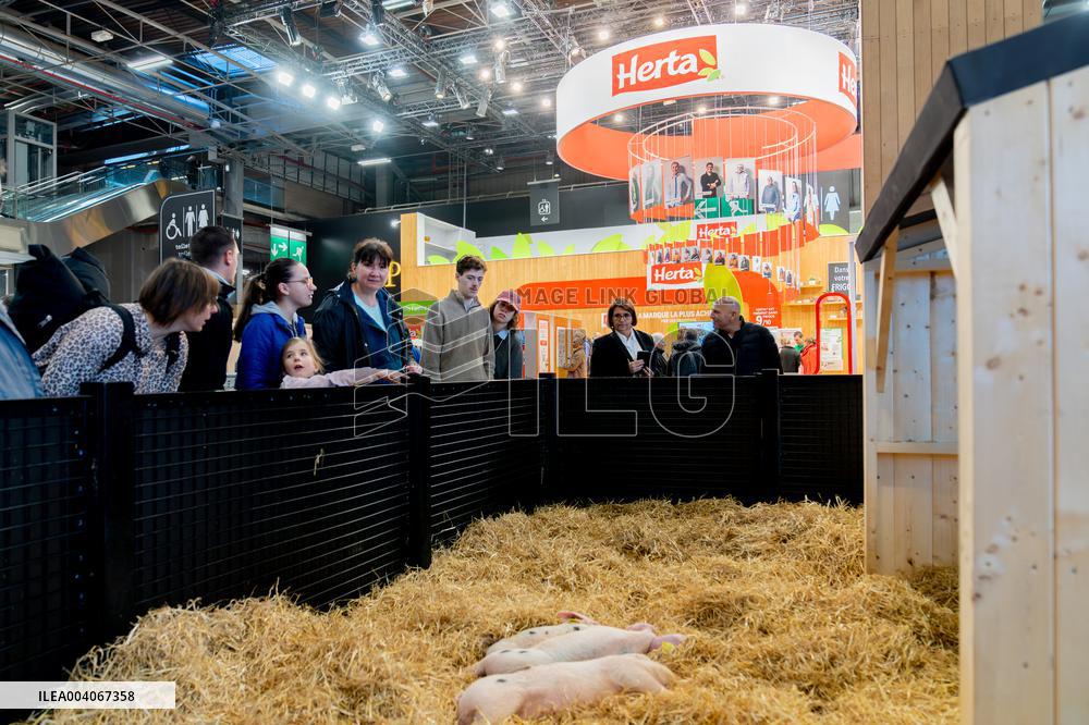 61st Agricultural Fair - Paris