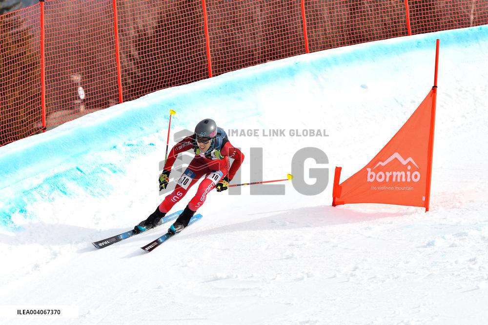 SPORT INVERNALI - Sci Alpino - ISMF World Cup - Ski Mountaineering