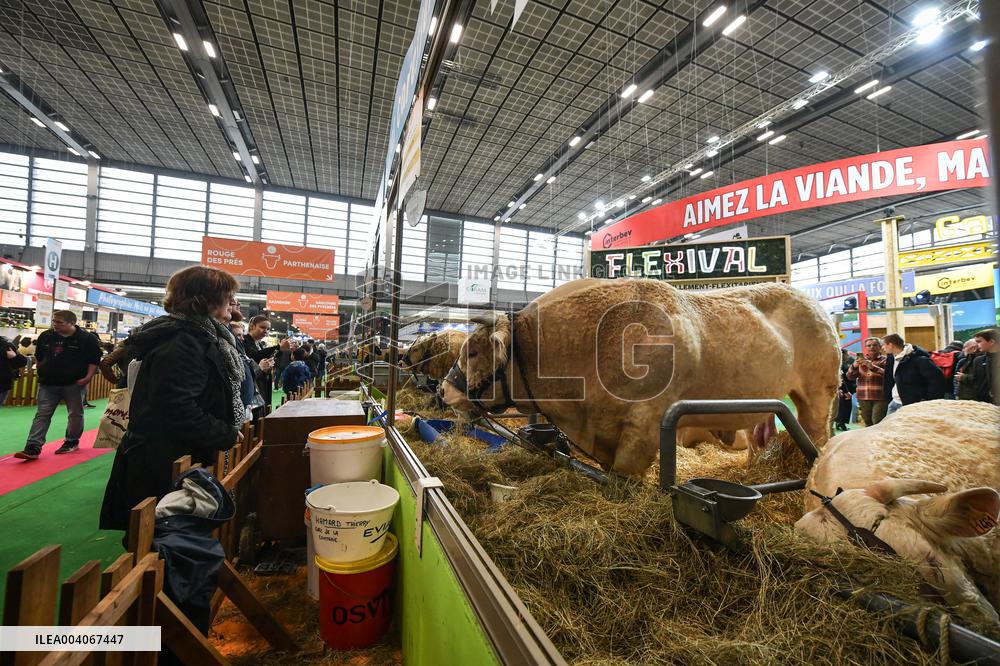 Visitors at the International Agricultural Fair in Paris - FA
