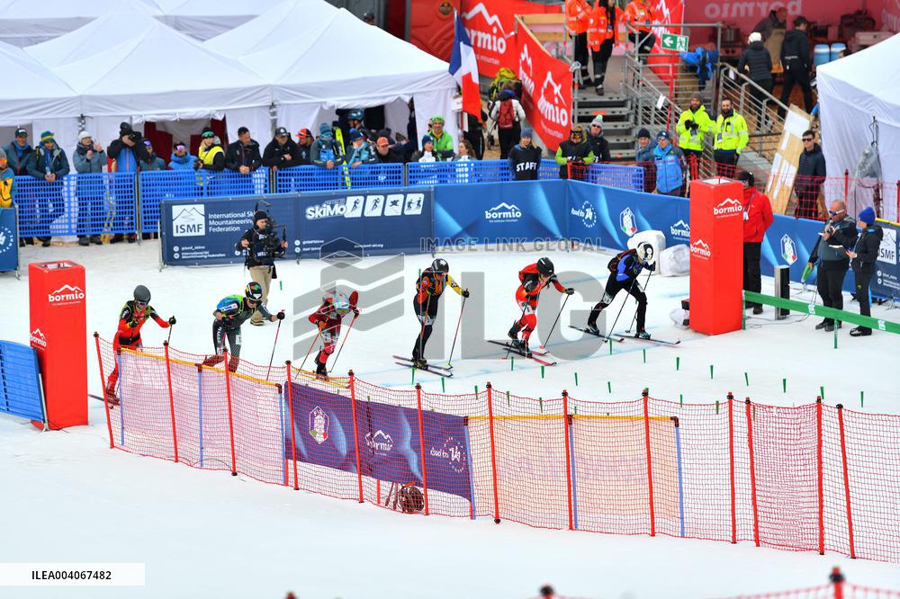 SPORT INVERNALI - Sci Alpino - ISMF World Cup - Ski Mountaineering