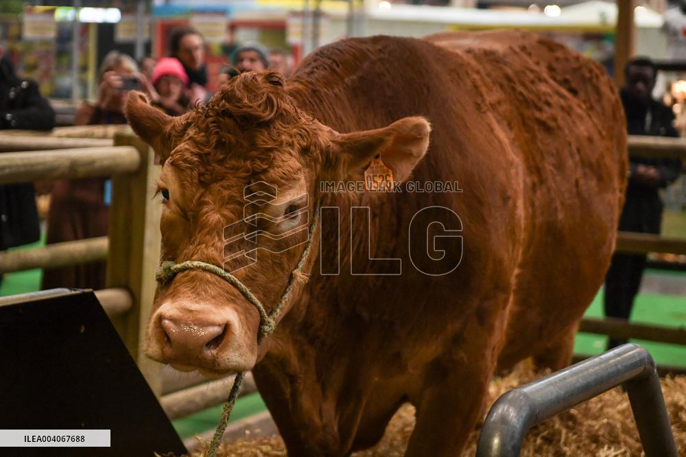 French PM Francois Bayrou at the Agricultural Fair in Paris - FA