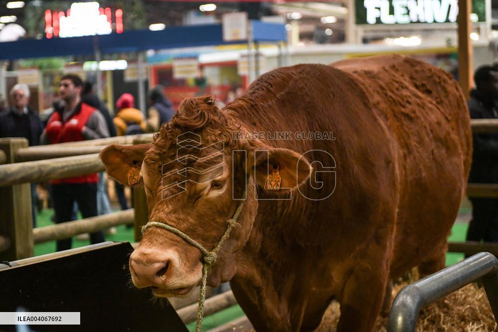 French PM Francois Bayrou at the Agricultural Fair in Paris - FA