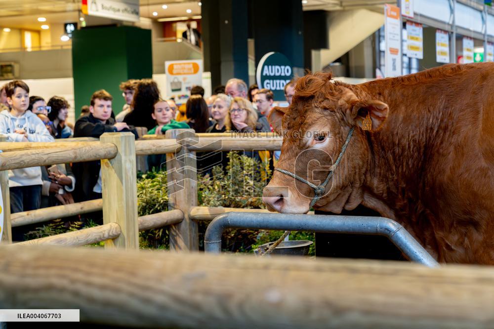 61st Agricultural Fair - Paris