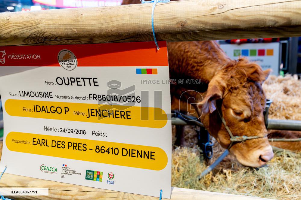 61st Agricultural Fair - Paris
