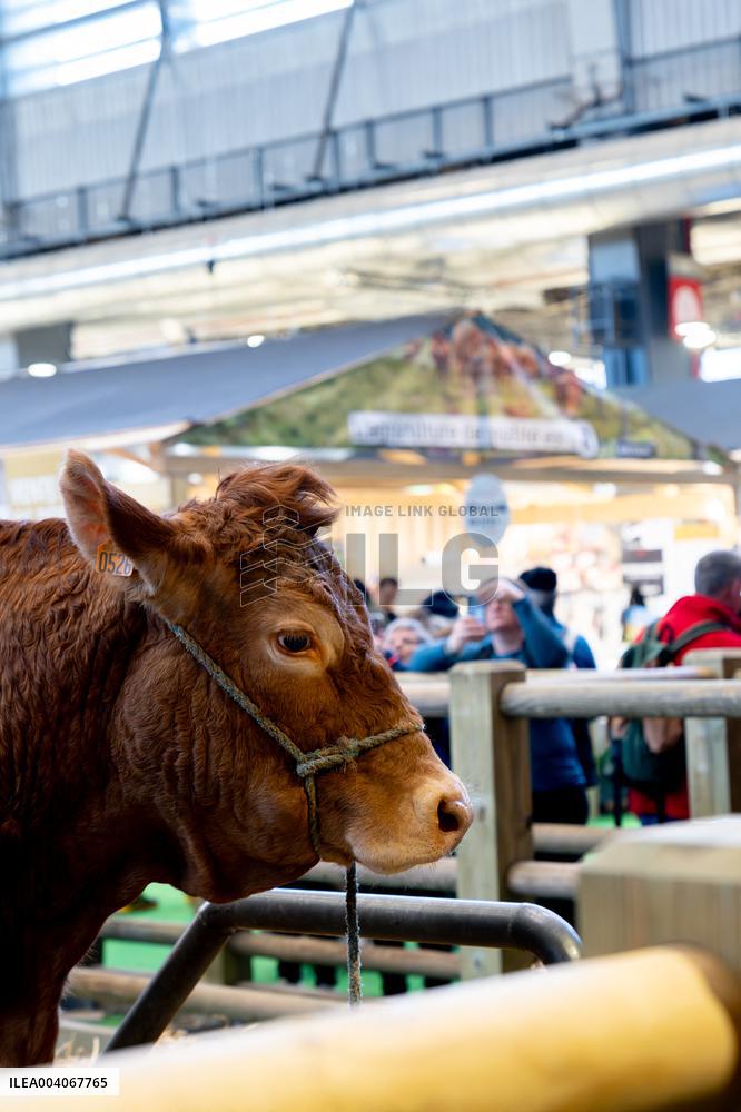 61st Agricultural Fair - Paris