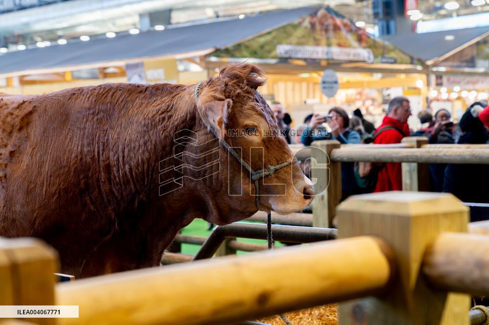 61st Agricultural Fair - Paris