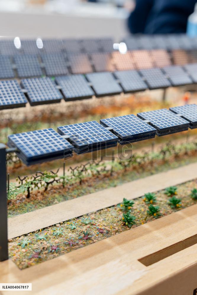 61st Agricultural Fair - Paris