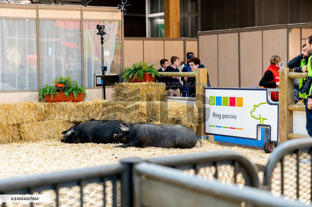 61st Agricultural Fair - Paris