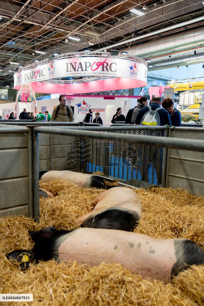 61st Agricultural Fair - Paris