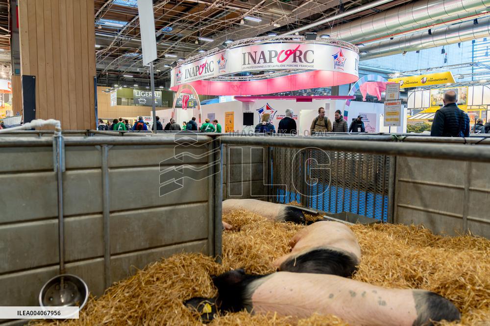 61st Agricultural Fair - Paris