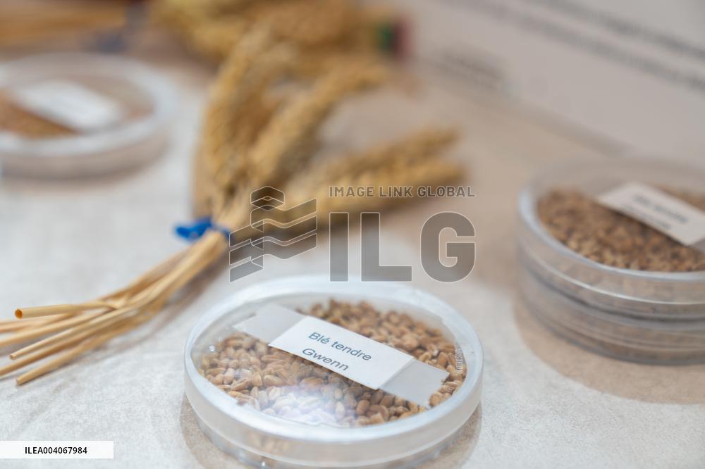 61st Agricultural Fair - Paris