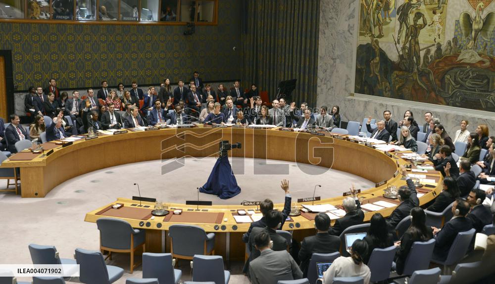 U.N. Security Council