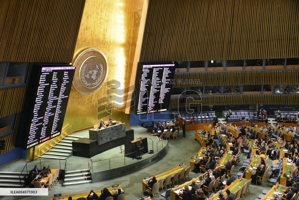 U.N. General Assembly