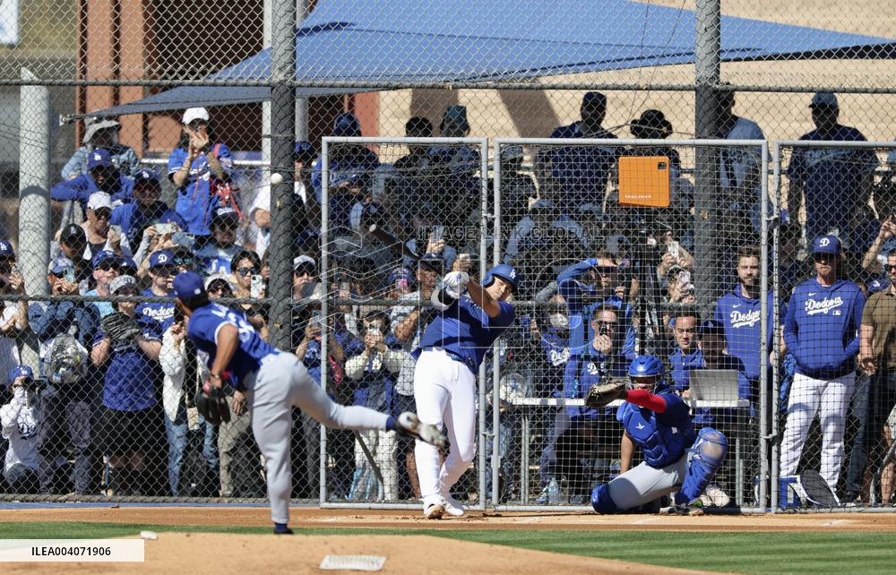 Baseball: MLB spring training
