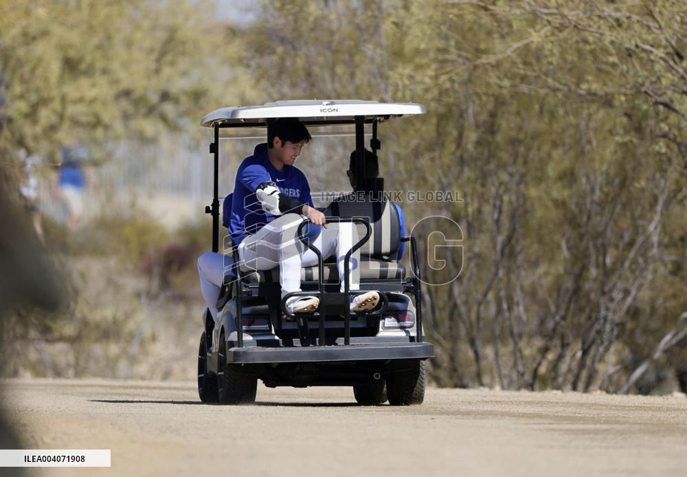 Baseball: MLB spring training