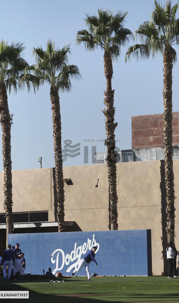 Baseball: MLB spring training