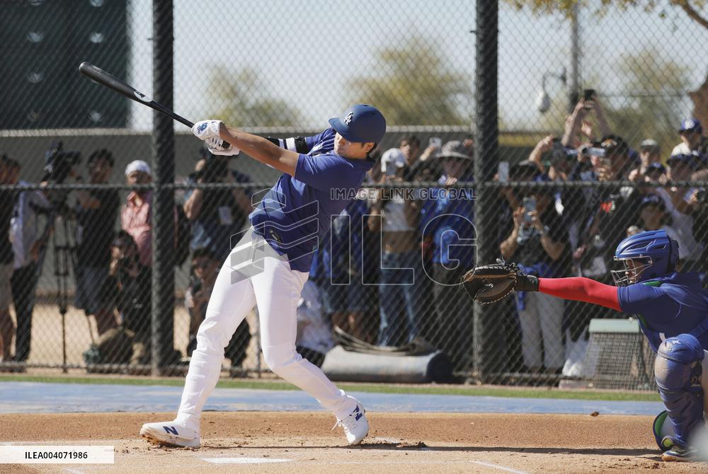 Baseball: MLB spring training