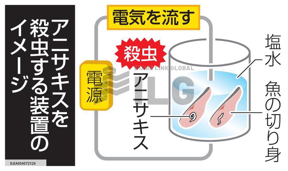 Device to kill Anisakis parasites