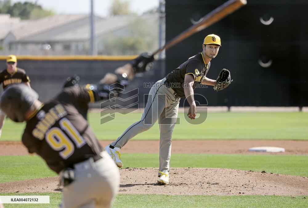 Baseball: MLB spring training