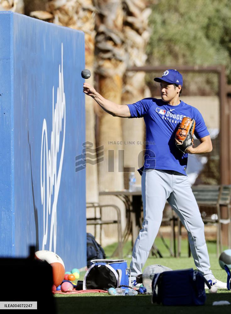 Baseball: MLB spring training