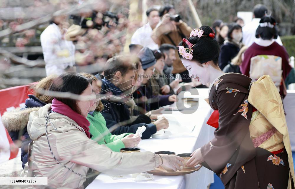 Plum blossom-viewing festival in Kyoto