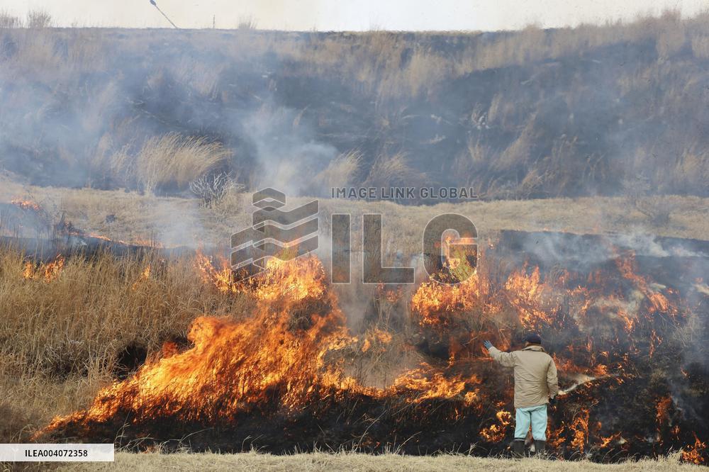 Controlled grassland burn on Mt. Aso