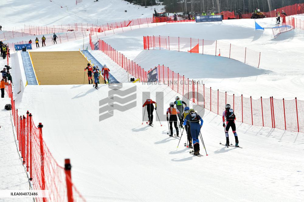 SPORT INVERNALI - Sci Alpino - ISMF World Cup - Ski Mountaineering
