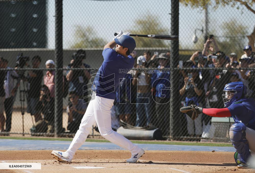 Baseball: MLB spring training