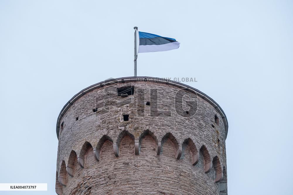 Celebrating Estonian Independence Day