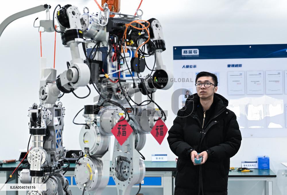 Debugging Humanoid Robots - China