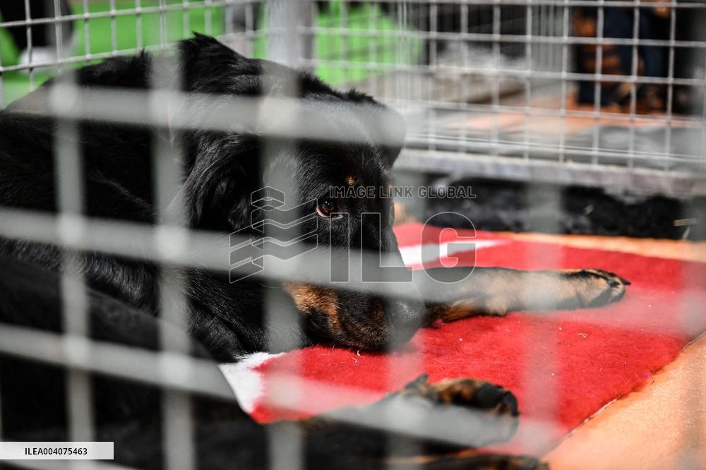 Illustration Agriculturel Fair - Paris