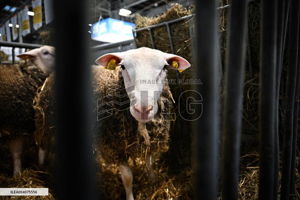 Illustration Agriculturel Fair - Paris