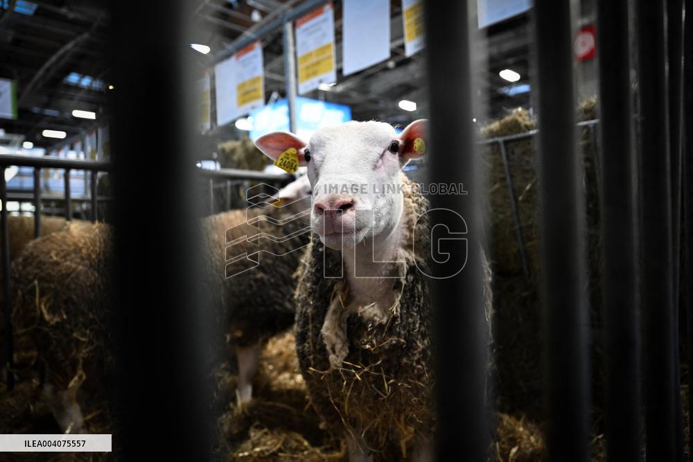 Illustration Agriculturel Fair - Paris