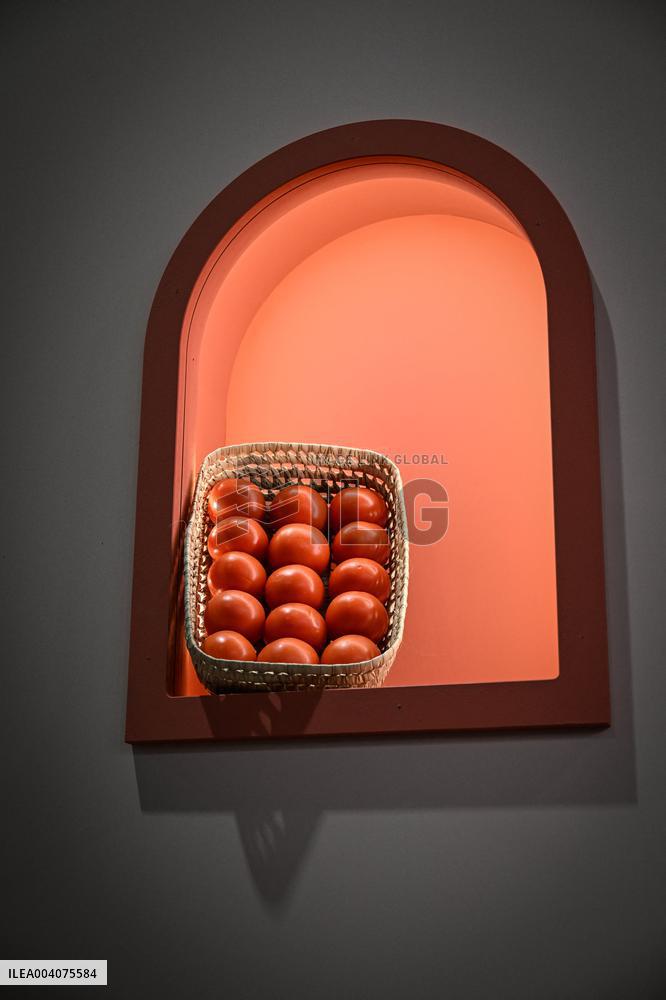 Illustration Agriculturel Fair - Paris