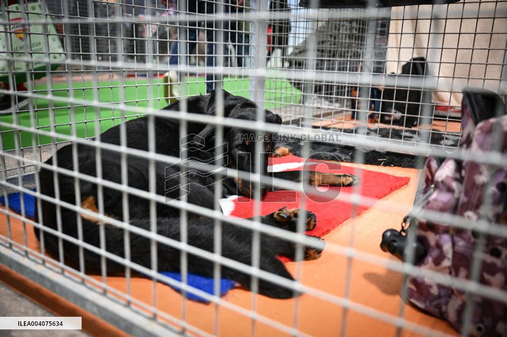 Illustration Agriculturel Fair - Paris