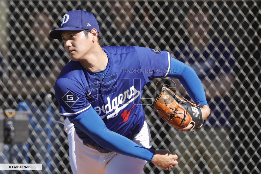 Baseball: MLB spring training