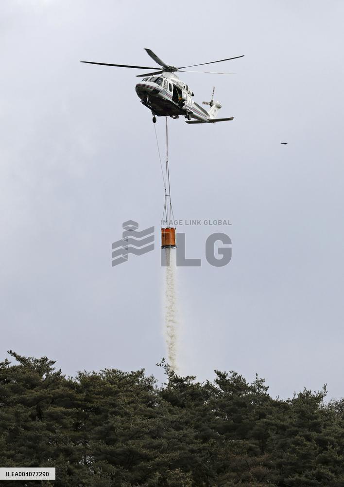 Forest fire in northeastern Japan