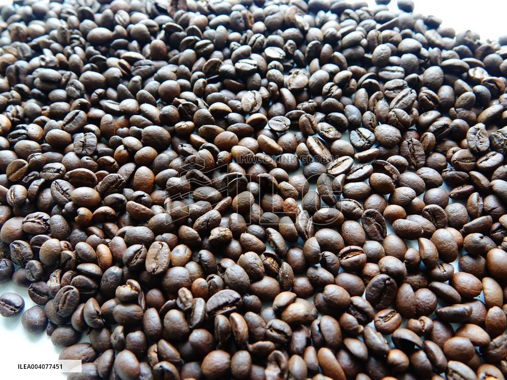 Coffee Bean Prices Rise